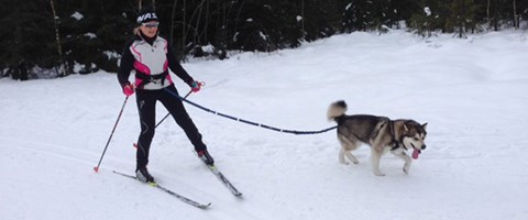 pasient grace ellinor på skitur med hund etter ortopedisk operasjon. foto.